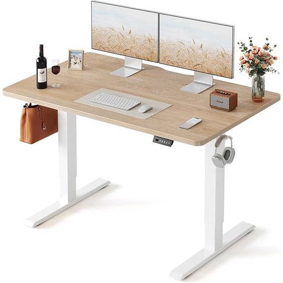 FEZIBO Electric Sit-Stand Desk 48 x 24