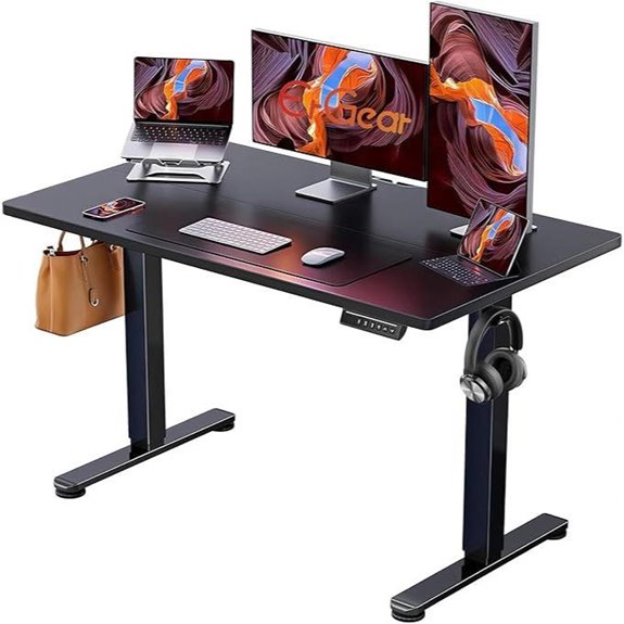 ErGear Adjustable Electric Sit-Stand Desk 48x24 Inches