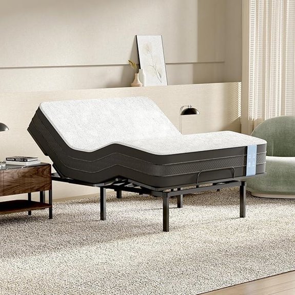 FLEXISPOT Adjustable Queen Bed Frame with Remote